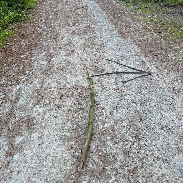 Wide games in the woods after dark
