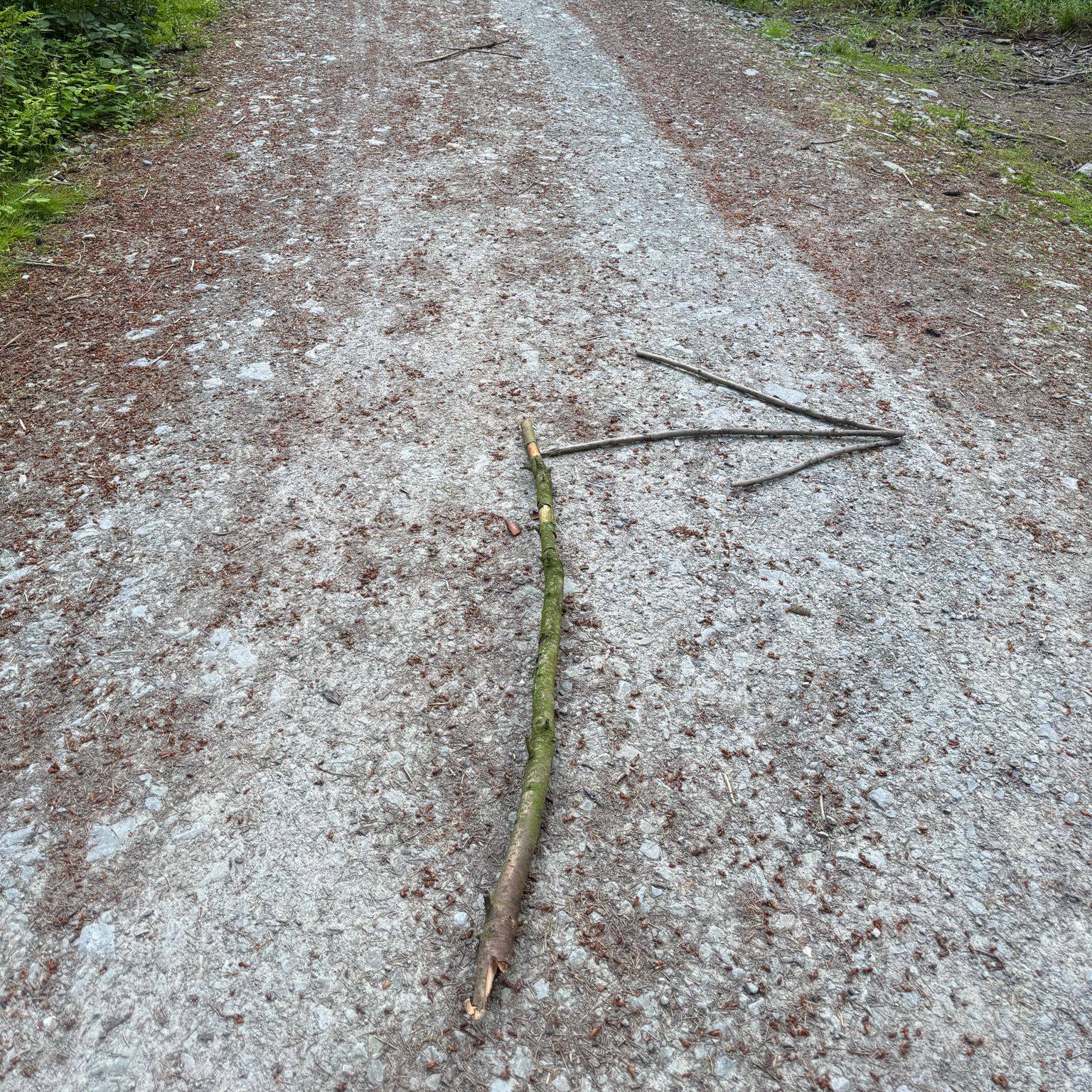 Explorers playing wide games in the woods
