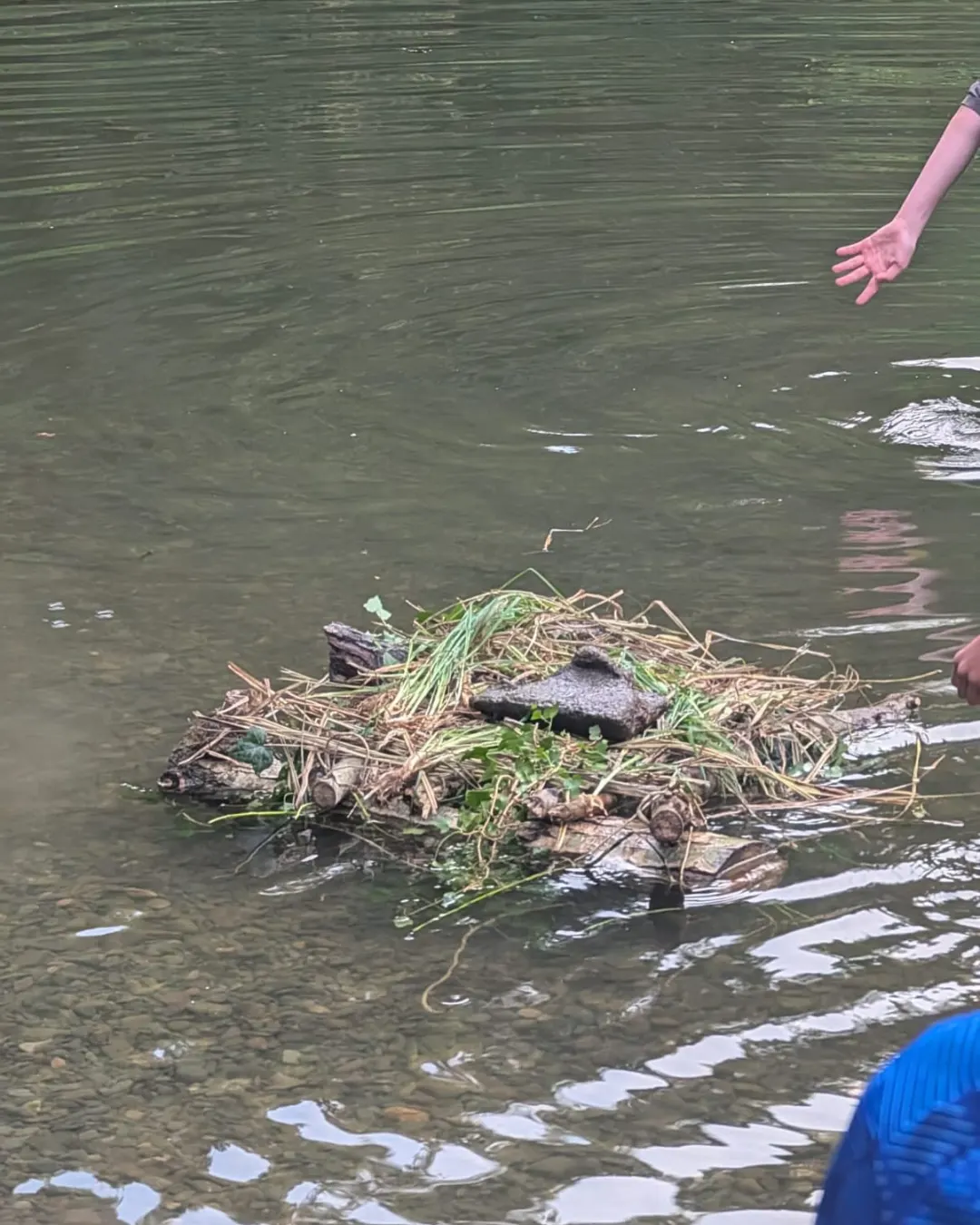 Photo 6 of 7: The Great Ludlow–Leominster Boat Race!