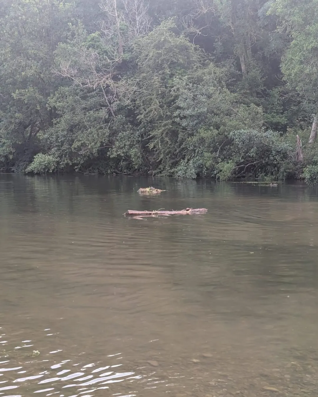 Photo 7 of 7: The Great Ludlow–Leominster Boat Race!