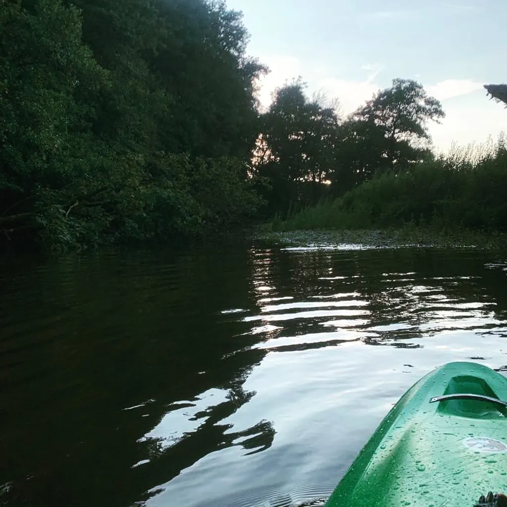 Photo 3 of 3: A great final night of term on the water!